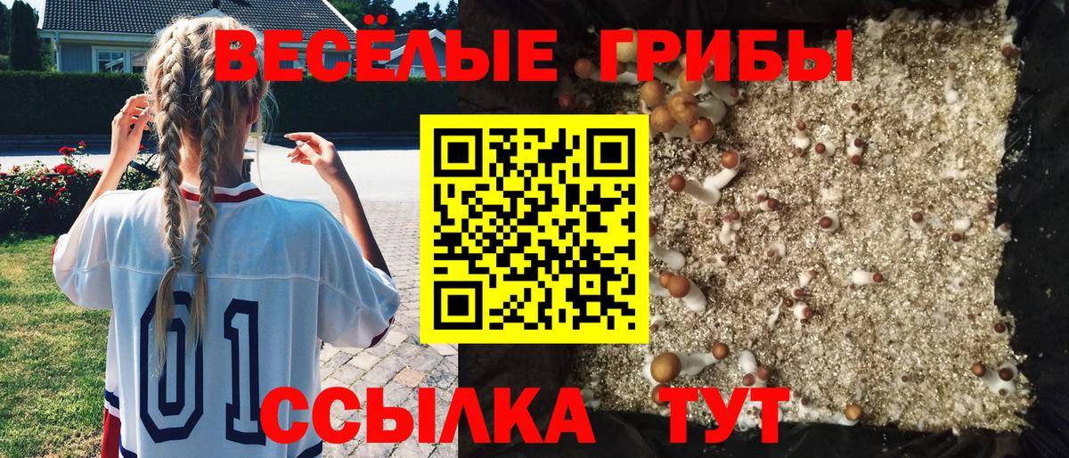 Выкса  Псилоцибиновые грибы GOLDEN TEACHER  Вход с VPN 