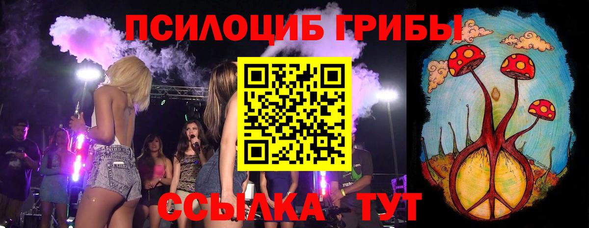 Галлюциногенные грибы Psilocybine cubensis Выкса